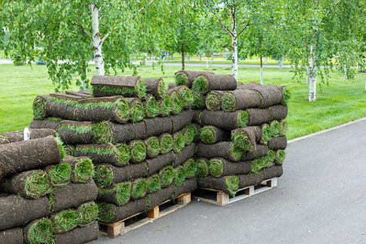 Sod Delivery/ Instillation